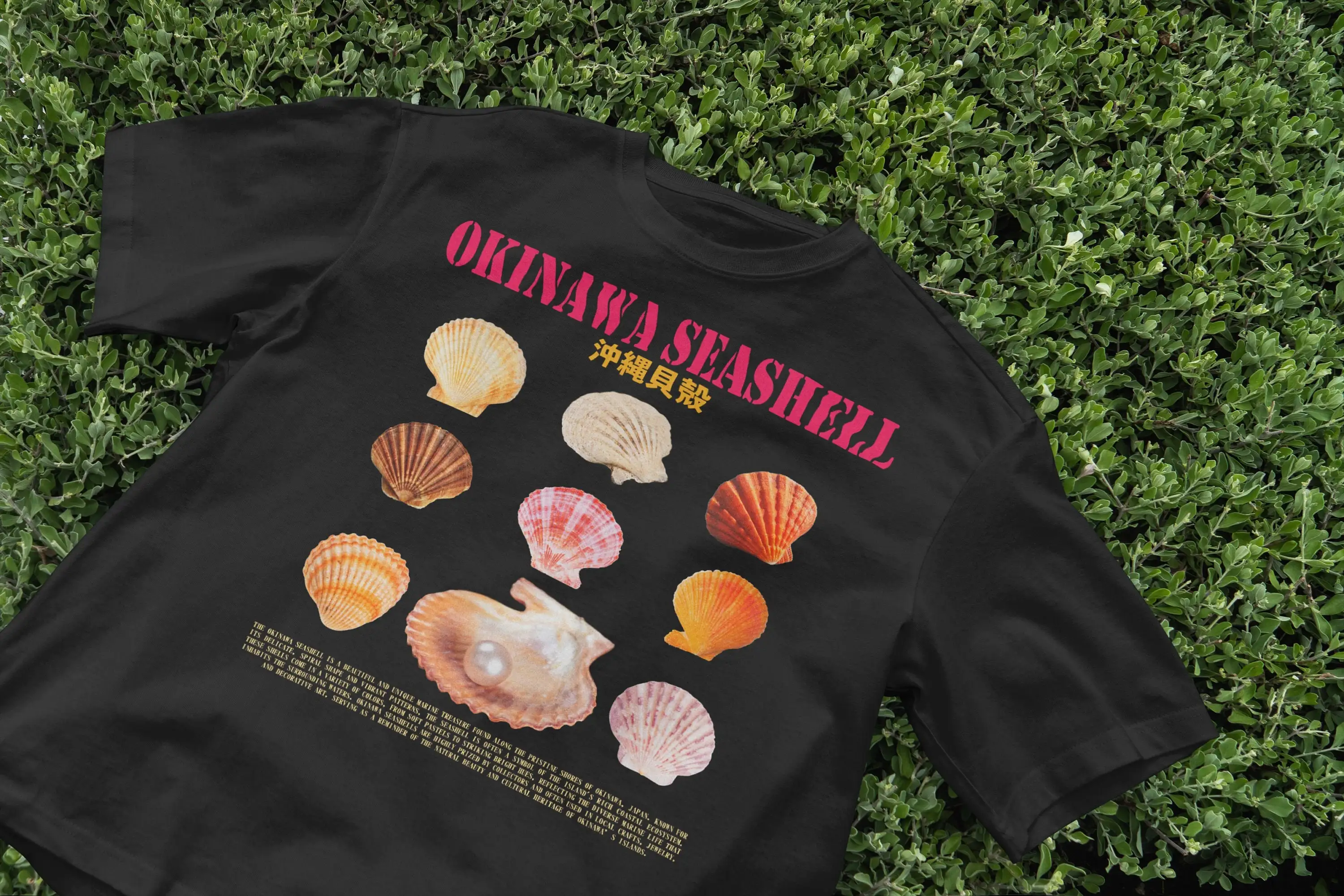 Japanese Man Lifestyle - 沖縄貝殻 Tシャツ オーシャン原宿スタイル 美的海洋生物 日本のビーチ 2000年代